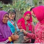 ALISA Khadijah ICMI dan BKOW Kalbar Luncurkan Kebun Pangan Lokal Dukung Ketahanan Pangan Keluarga